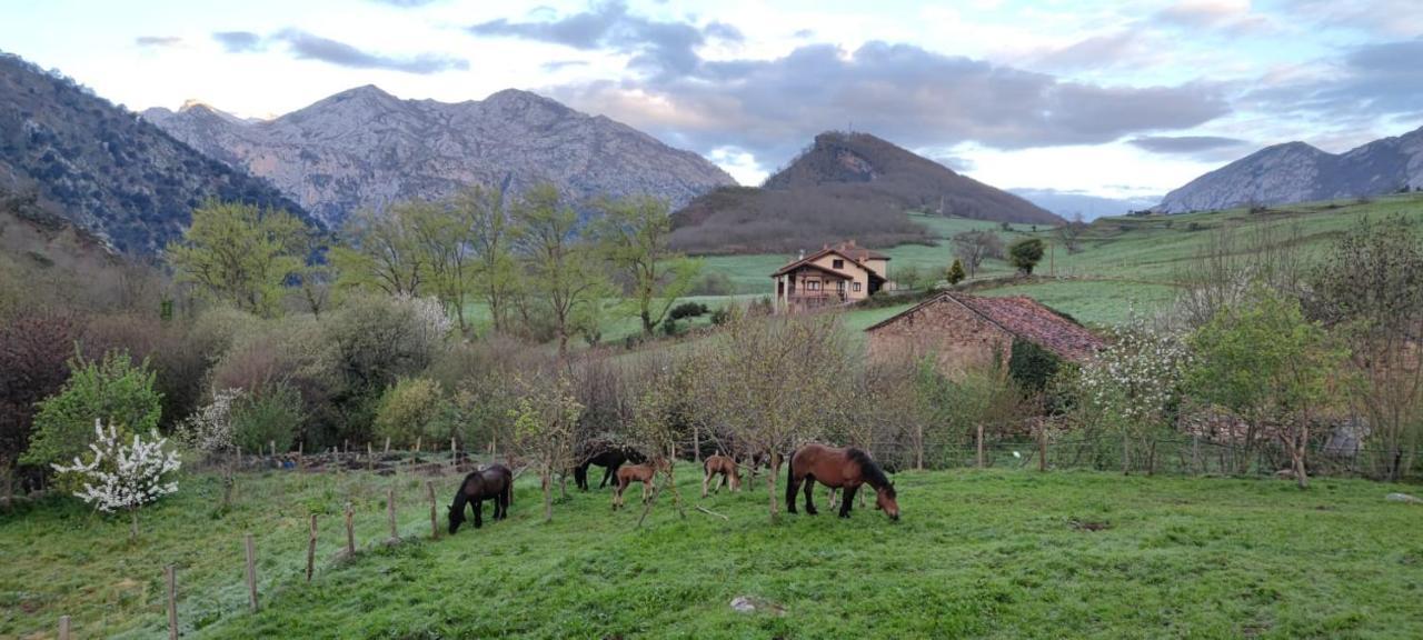 La Posada De La Valuisilla - Bed&Breakfast Cicera Zewnętrze zdjęcie