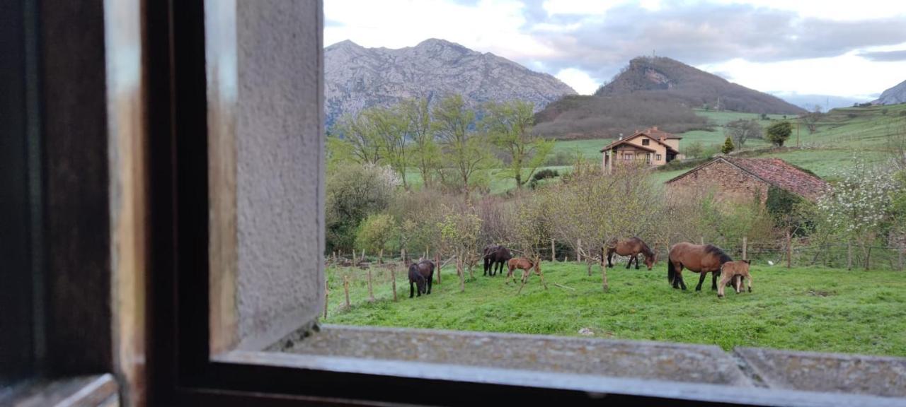 La Posada De La Valuisilla - Bed&Breakfast Cicera Zewnętrze zdjęcie